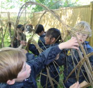 Willow weaving 3