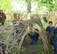 Willow weaving 5