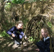 Willow weaving 6