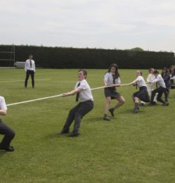 Tug of war (93)